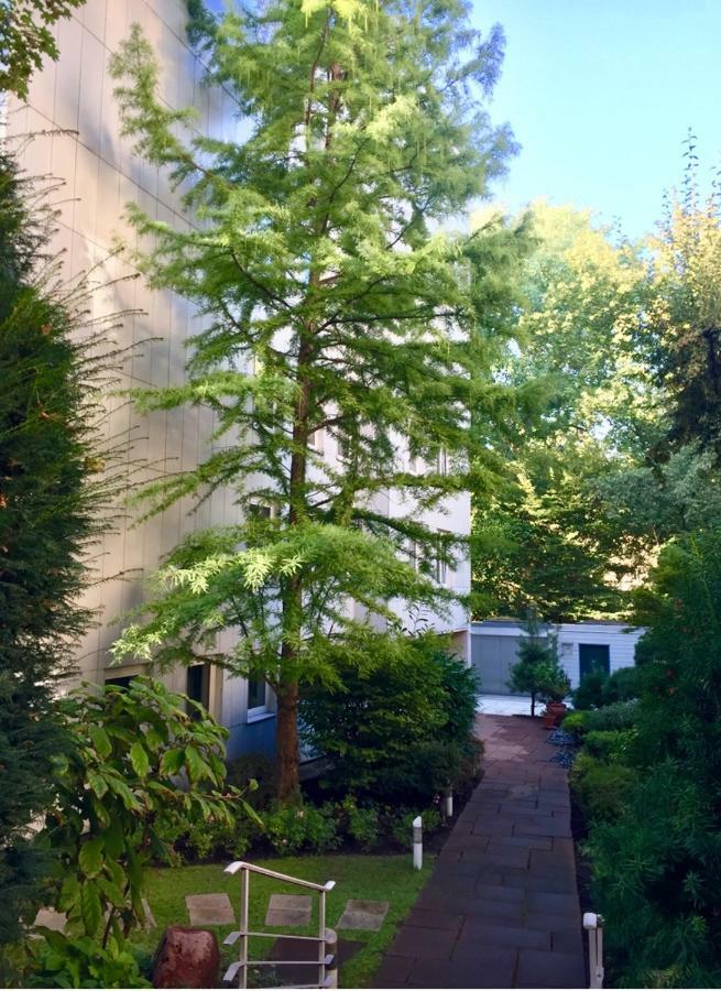 Apartment Centrum Im Gruenen Nuremberg ภายนอก รูปภาพ